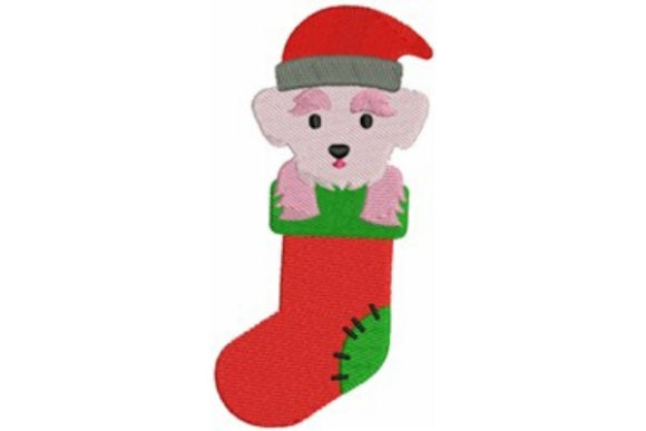 Christmas Maltese: A Designer Review for Apparel