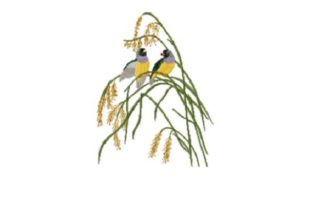Painted Finch: A Charming Addition for Seasonal Embroidery