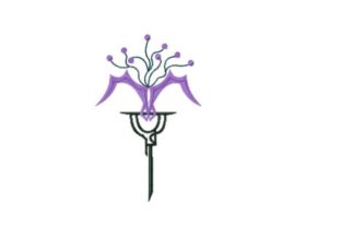 Queen Lunaria Orchid: A Touch of Elegance